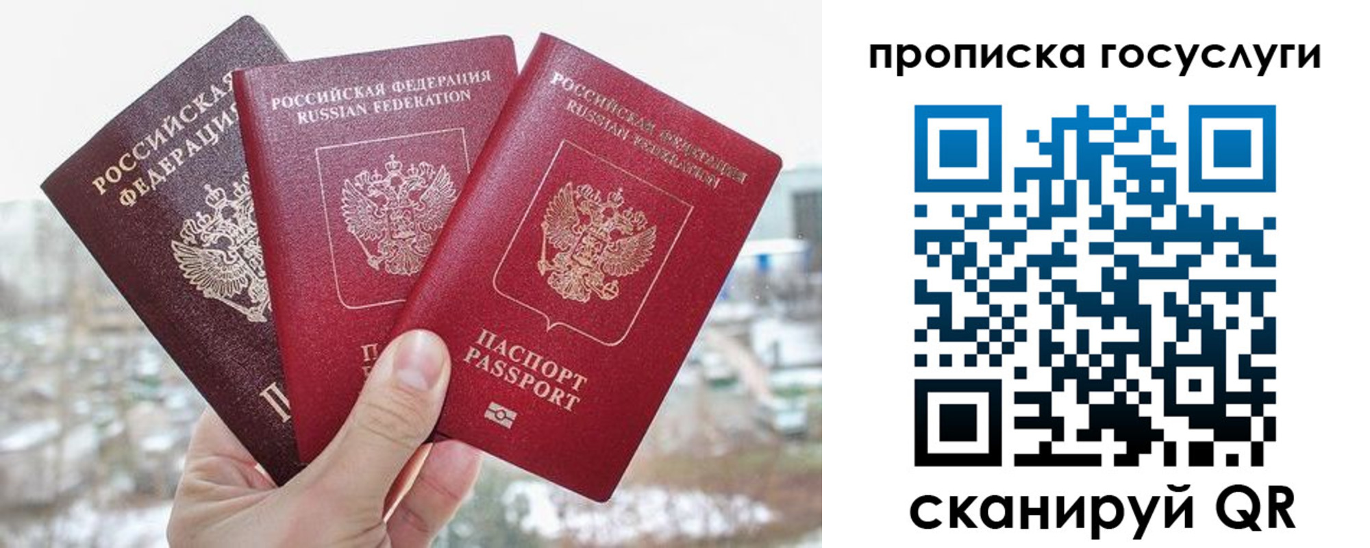 прописка законно в Красноярске
